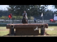 Equestrian Horse Jumping 6 OFFSPEED 1704